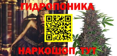 spice Малоярославец